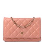 Chanel Bags