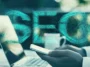 Search Engine Optimization Company