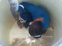 Water Tank Cleaning