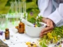 Ayurvedic Centers