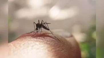 Delhis September Dengue Numbers